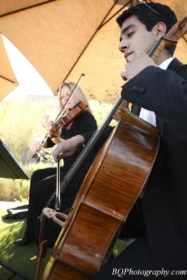 String Serenade | Scottsdale, AZ | Classical String Quartet | Photo #13
