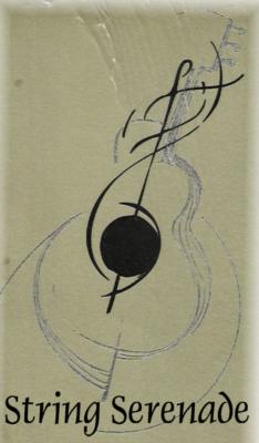 String Serenade | Scottsdale, AZ | Classical String Quartet | Photo #17