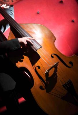 International Strings | Los Angeles, CA | String Quartet | Photo #3