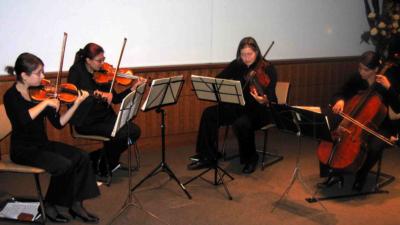 International Strings | Los Angeles, CA | String Quartet | Photo #12