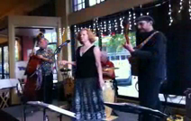 Yolo Mambo | Davis, CA | World Music Band | Elephantes Live
