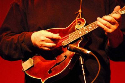 Blue Roots Bluegrass Band | Philadelphia, PA | Bluegrass Band | Photo #9