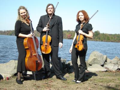 Sweet Harmony ~ Live Music For Special Events | Woodland Park, NJ | Classical Violin | Photo #13