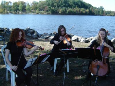 Sweet Harmony ~ Live Music For Special Events | Woodland Park, NJ | Classical Violin | Photo #14