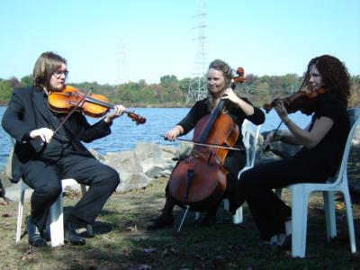 Sweet Harmony ~ Live Music For Special Events | Woodland Park, NJ | Classical Violin | Photo #17