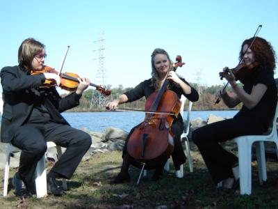 Sweet Harmony ~ Live Music For Special Events | Woodland Park, NJ | Classical Violin | Photo #15
