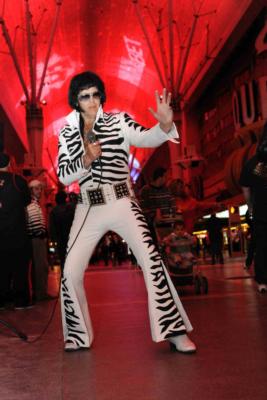 Counterfeit Elvis's Main Photo