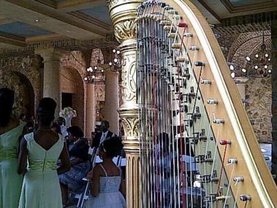 BEAUTIFUL MUSIC & PAINT IT BLACK QUARTET | Orlando, FL | String Quartet | Photo #6