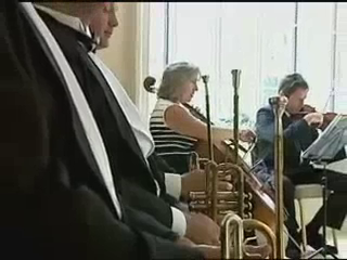BEAUTIFUL MUSIC & PAINT IT BLACK QUARTET | Orlando, FL | String Quartet | Beautiful Music Trio and Fanfare Trumpet Trio