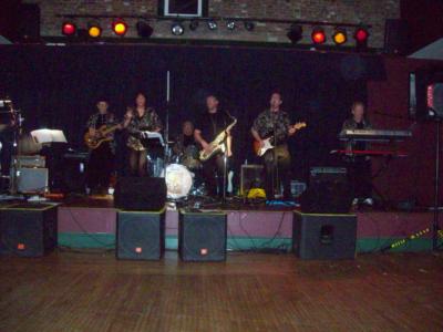 The Jersey Sure Cats | Freehold, NJ | Cover Band | Photo #3