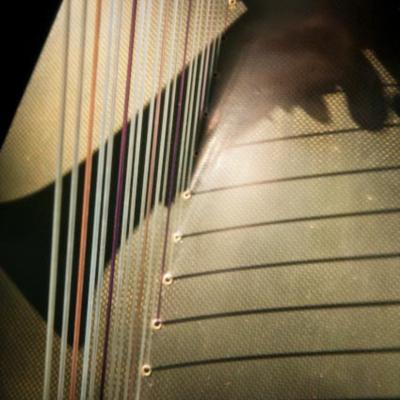 Annette Bjorling | Chicago, IL | Harp | Photo #11