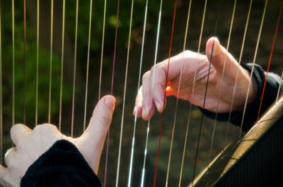 Annette Bjorling | Chicago, IL | Harp | Photo #7