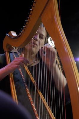 Annette Bjorling | Chicago, IL | Harp | Photo #6