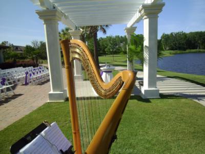 Harpist, Rev. William Reister | Jacksonville, FL | Harp | Photo #19