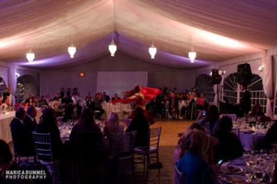 Nyla Crystal | Redwood City, CA | Belly Dancer | Photo #2