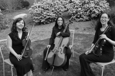 The Amherst String Ensemble's Main Photo