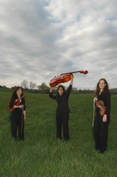 The Amherst String Ensemble | Amherst, MA | String Quartet | Photo #3