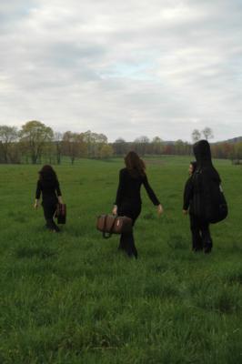 The Amherst String Ensemble | Amherst, MA | String Quartet | Photo #4
