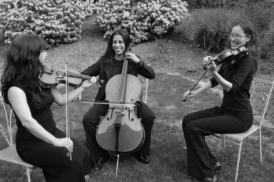 The Amherst String Ensemble | Amherst, MA | String Quartet | Photo #10