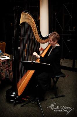 Marilyn Wienand | Cary, NC | Classical Harp | Photo #8