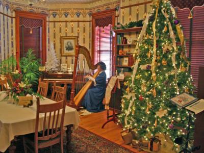 Alice Freeman | Laramie, WY | Classical Harp | Photo #13