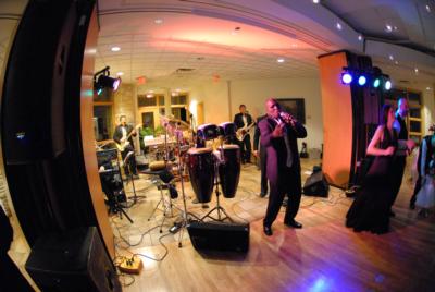 Rudy And The Professionals | Cleveland, OH | Cover Band | Photo #16