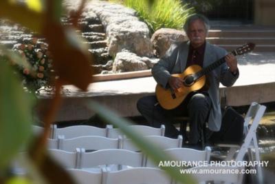 David O'Connor | Santa Cruz, CA | Guitar | Photo #8