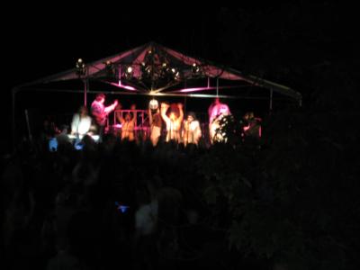 Vo5 | Madison, WI | 70s Band | Photo #9