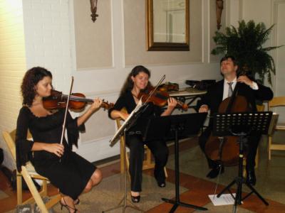Fine Arts Wedding Musicians | New Orleans, LA | Classical Duo | Photo #12