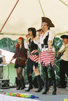 Brickhouse Band | Bothell, WA | Dance Band | Photo #12