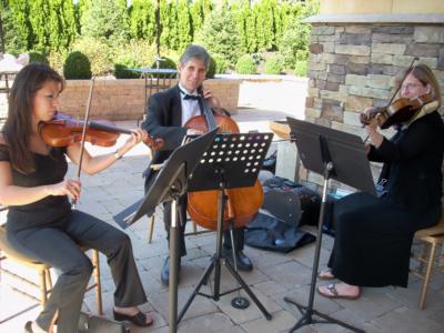 Romanza Music | South Orange, NJ | String Quartet | Photo #10