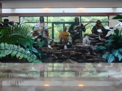 Proverbs Rootz Rock Reggae Band | Bowie, MD | Reggae Band | Photo #21
