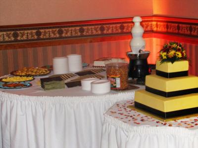 Divine Weddings And DJ Service Inc. | Loves Park, IL | DJ | Photo #21