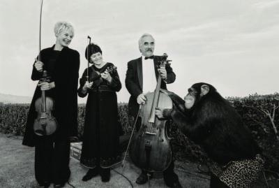 American Association Of Musical Artists | Hollywood, CA | Variety Band | Photo #9