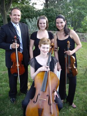 Violinist And DJ Steven Vance | Allison Park, PA | Violin | Photo #21