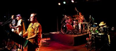 Tom Watt "The Buffettman" | Pittsburgh, PA | Jimmy Buffett Tribute Act | Photo #10
