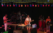 Tom Watt "The Buffettman" | Pittsburgh, PA | Jimmy Buffett Tribute Act | Fins