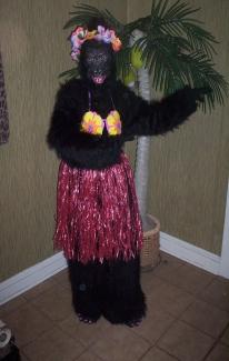 Birthday Parties Unlimited | Glenside, PA | Singing Telegram | Photo #3