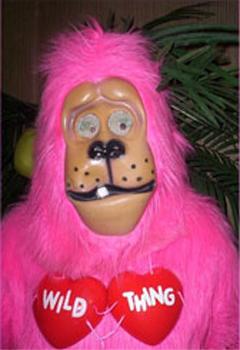 Birthday Parties Unlimited | Glenside, PA | Singing Telegram | Photo #17