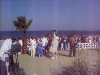 Sterling C Sample's Island Music Steel drums LLC | East Orange, NJ | Calypso Steel Drum | Wedding on the beach island style(At last)