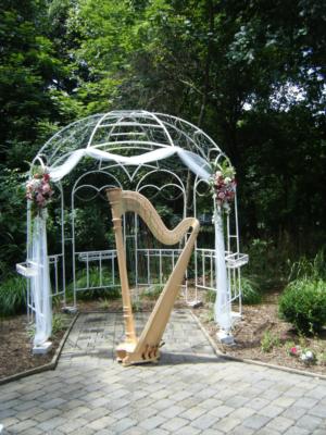 Melissa Tardiff Dvorak Harpist | Falls Church, VA | Classical Harp | Photo #8