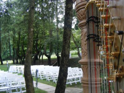 Melissa Tardiff Dvorak Harpist | Falls Church, VA | Classical Harp | Photo #10