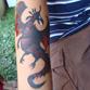 Marla's Face Painting | Toronto, ON | Face Painting | Photo #9