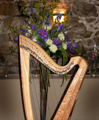 Donna Germano | Asheville, NC | Harp | Photo #11