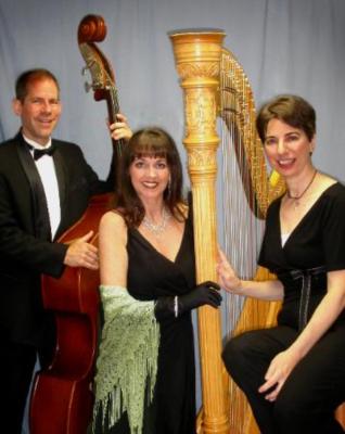 Donna Germano | Asheville, NC | Harp | Photo #4