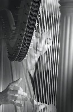 Donna Germano | Asheville, NC | Harp | Photo #5