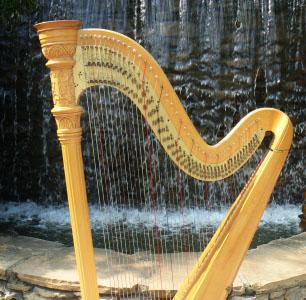 Donna Germano | Asheville, NC | Harp | Photo #7