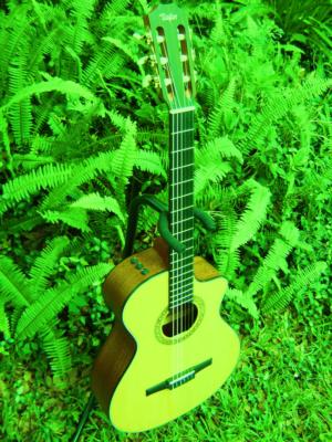 Terry Thrift | Jacksonville, FL | Acoustic Guitar | Photo #3