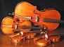 Vivace String Quartet's Main Photo