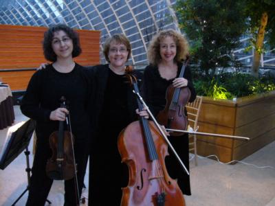 Vivace String Quartet | Philadelphia, PA | Classical String Quartet | Photo #2